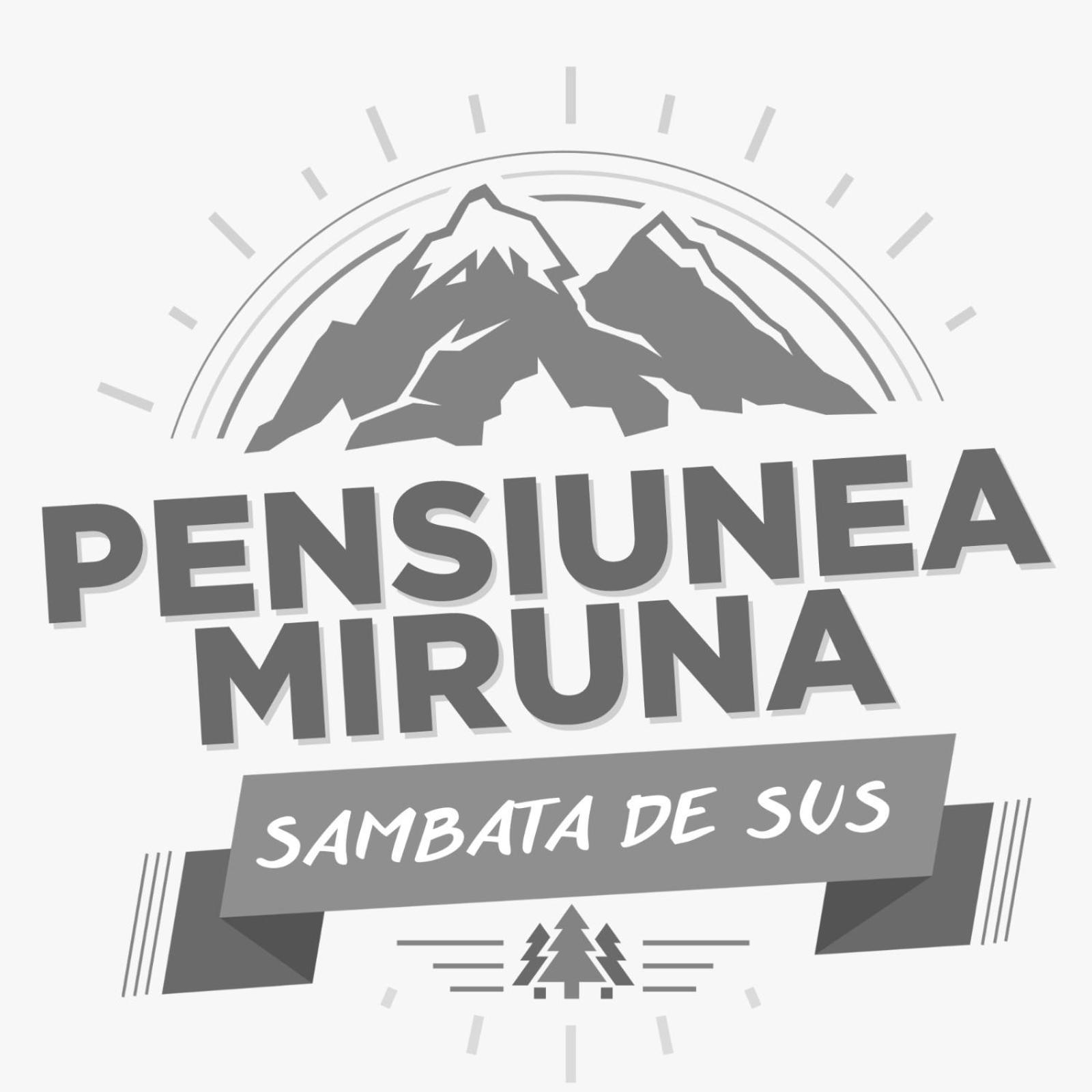 Hotel Miruna Sîmbăta de Sus Dış mekan fotoğraf